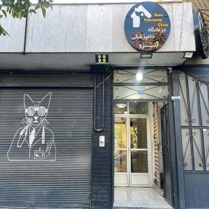 کلینیک دامپزشکی آنزو